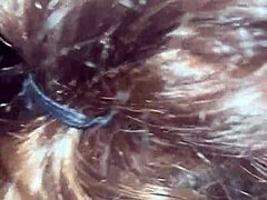 Sucking BBC Coworker