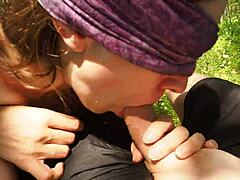 Stepsis Forest Swallow