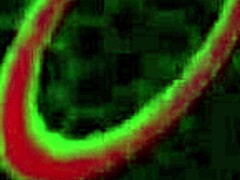 busty blonde drilled