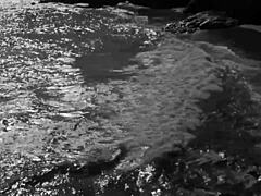 Hairy Vintage Erotica