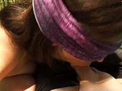 Stepsis Forest Swallow