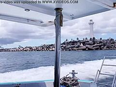 Fucking Sleeping Nipples