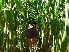 Corn Field Blowjob