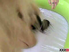 Oil Wrestling Lesbians