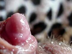 Huge Clit Orgasm
