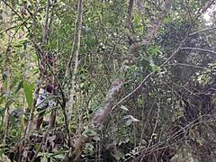 Outdoor Creampie Fuck