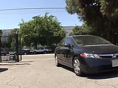 Lesbos Pussy Lick
