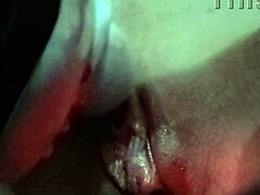 Vibrator Wet Pussy