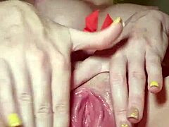 lick pussy joi