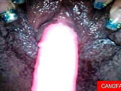 Hardcore Webcam Anal