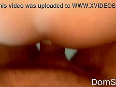 Asian Ass Destruction