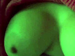 artemisia tit bounce