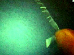 cum shoot masturbate