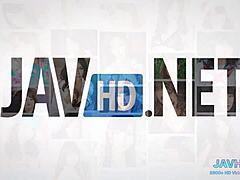 Japanese Squirt Fest