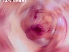 latina bbc dp