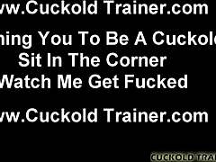 stranger pussy wreck