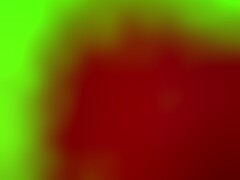 Charlee's Pussy Vibe