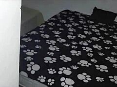 latina rides landlord