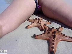 Beach Vibrator Control