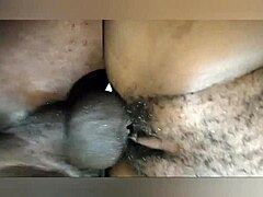 African Booty Creampie