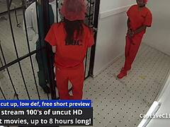 Lesbian Torment Clinic