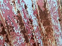 colombian neighbor fuck