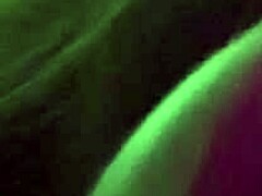 artemisia tit bounce