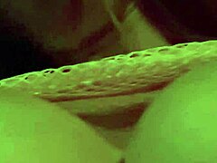 artemisia tit bounce