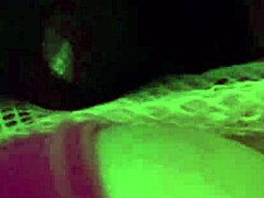 artemisia tit bounce