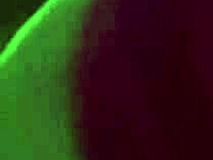 artemisia tit bounce