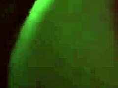 artemisia tit bounce