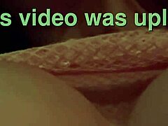 artemisia tit bounce