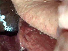 Juicy Creampie Fuck