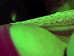 artemisia tit bounce