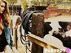 curvy striptease tease