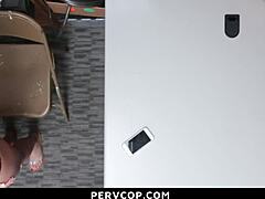 Cavity Search Burglar