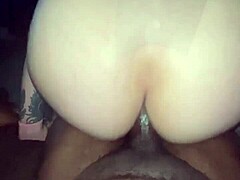 Black Cock Submission