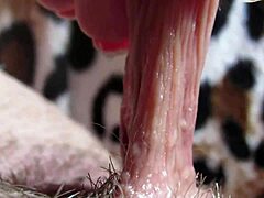 Big Clit Orgasm