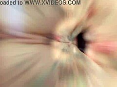 alexxa vice festival