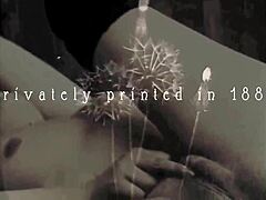 vintage hairy erotic