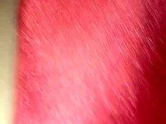 Gatita Cock Ride
