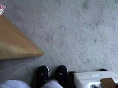 Seth Creampies Stella