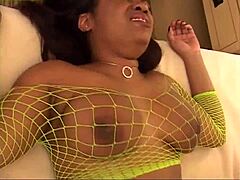 ebony racks pound