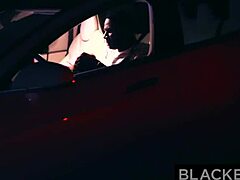 Blonde Bull Creampie