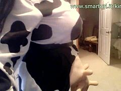 cow boobs jiggle