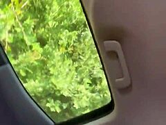 streetwalker car fuck