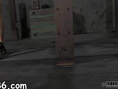 Pornstar Bound Fucking