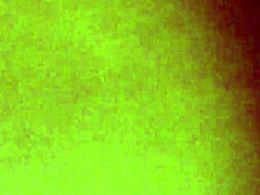 Chinese Erotic Scenes