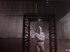 anal bondage