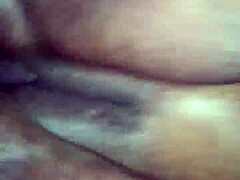 ebony squirt